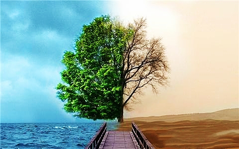 香水有毒凡事不要慌,香水有毒你要百毒不侵