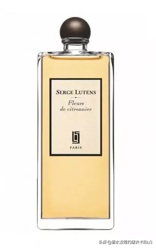 麝香橙花香水,比较果香的香水推荐
