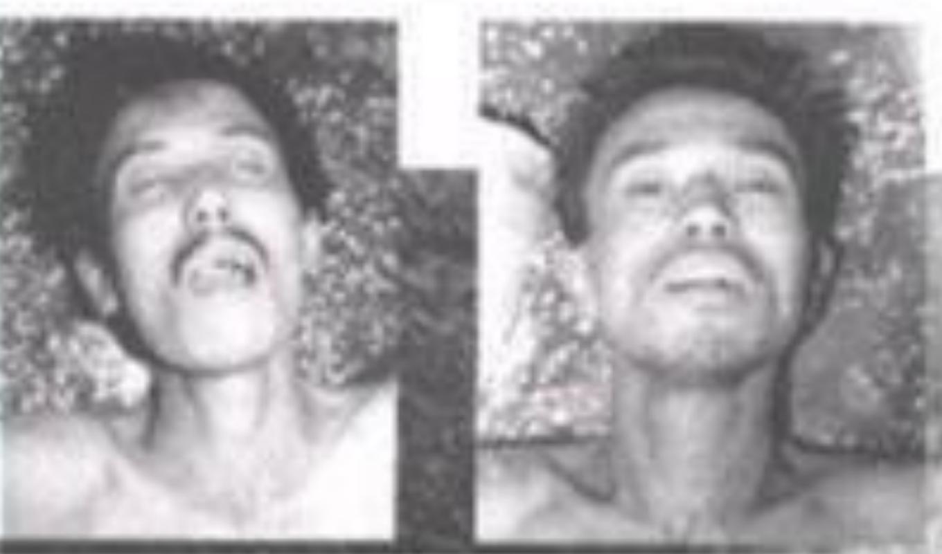 东北二王杀人案1983,东北二王特大杀人案