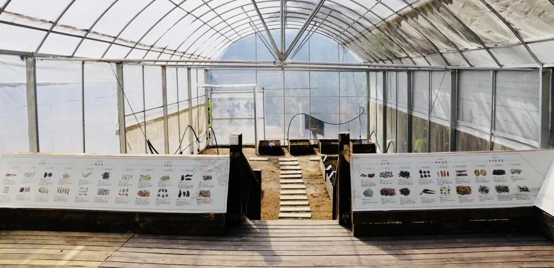 厦门夏令营走进大自然活动,厦门广电研学夏令营