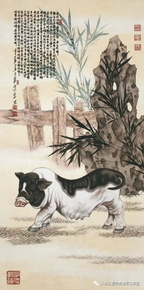 人体工程学生肖周运势:2020年6月14日—6月20日