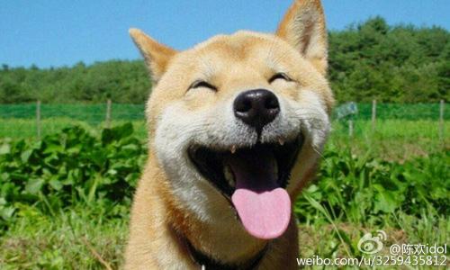 外贸网站建站和推广,外贸自建站收款通道