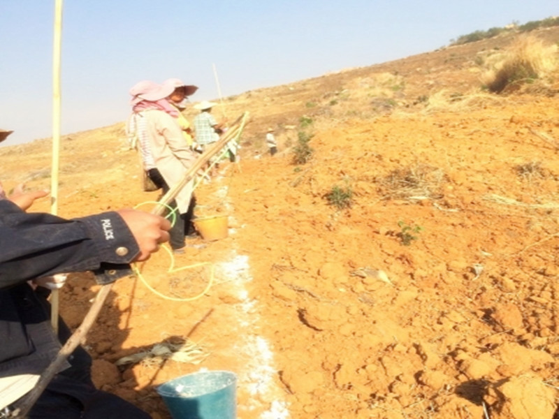 新移栽的树薄膜保温要不要透气,新栽树苗可以用什么灌根