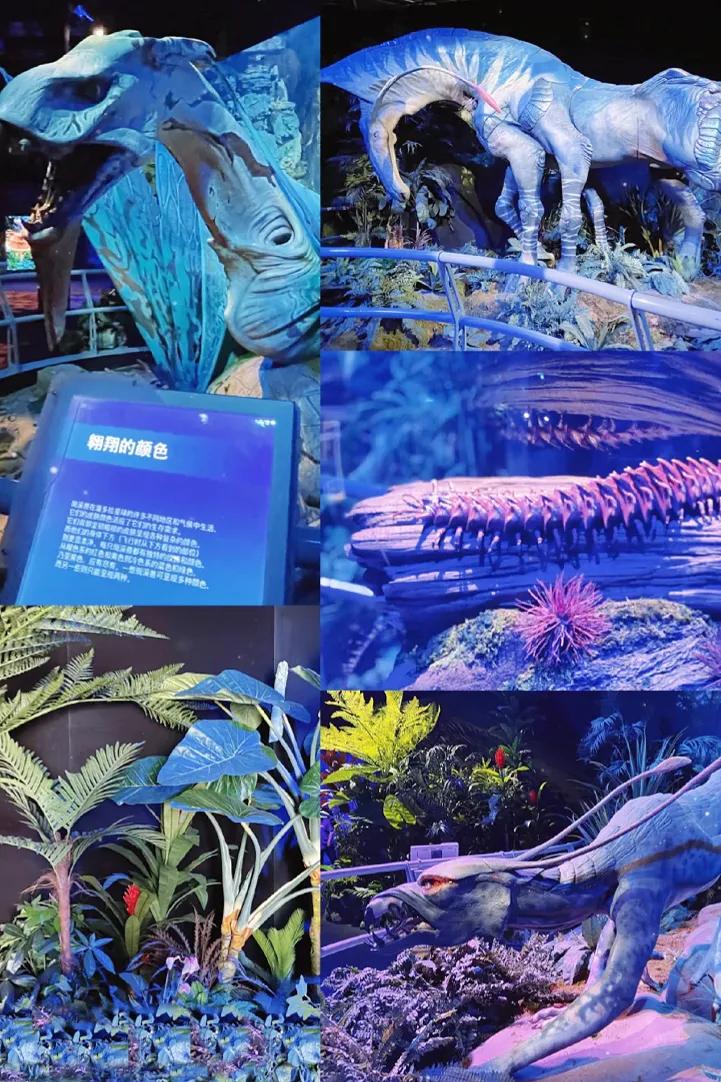 成都春节室内游玩攻略,成都玩耍攻略