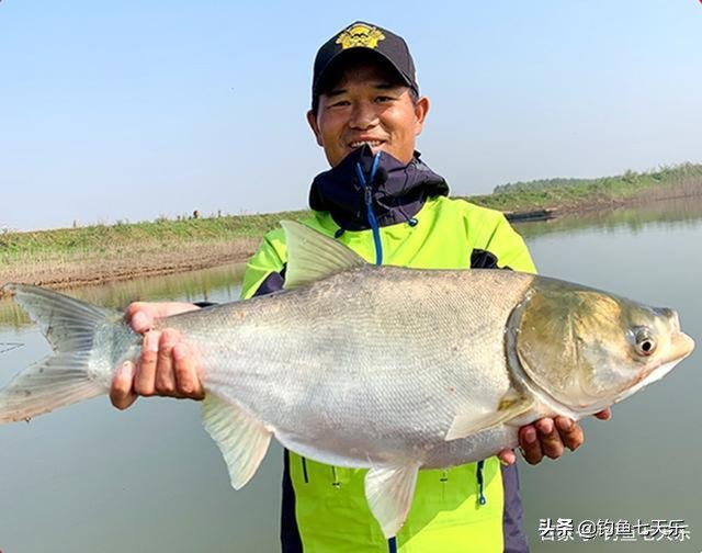 邓刚跟刘志强钓鱼的关系,钓鱼大师对刘志强邓刚评价