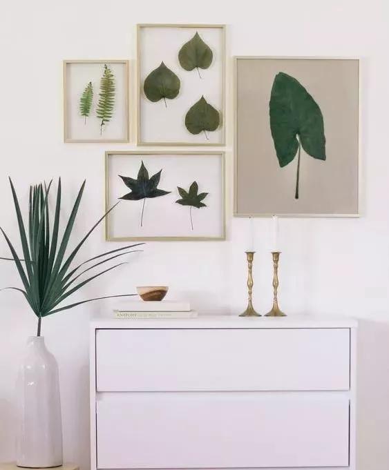 她用这种高颜值的干花装饰家里，隔壁邻居都惊叹不已