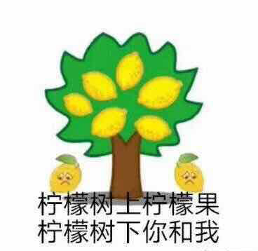 陈昱霖判决书曝光,陈昱霖案件是怎么回事