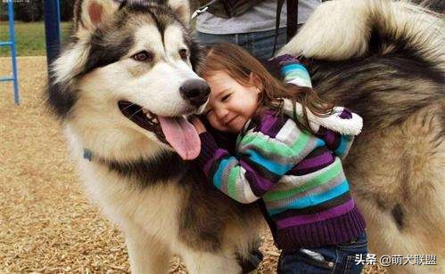 带你了解路亚,带你了解阿勒泰