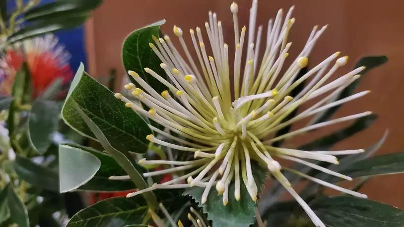 三星galaxynote20ultra5g测评,三星galaxys20+5g参数