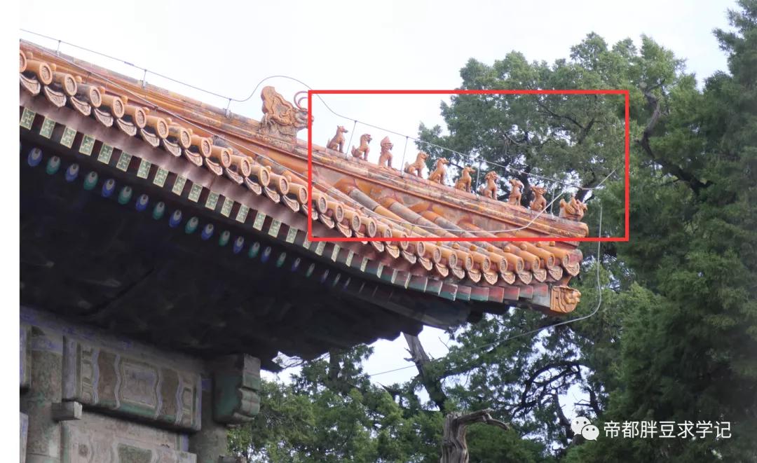 昨天刚沾了文曲星“仙气”儿,这两天学习效果就拉满了