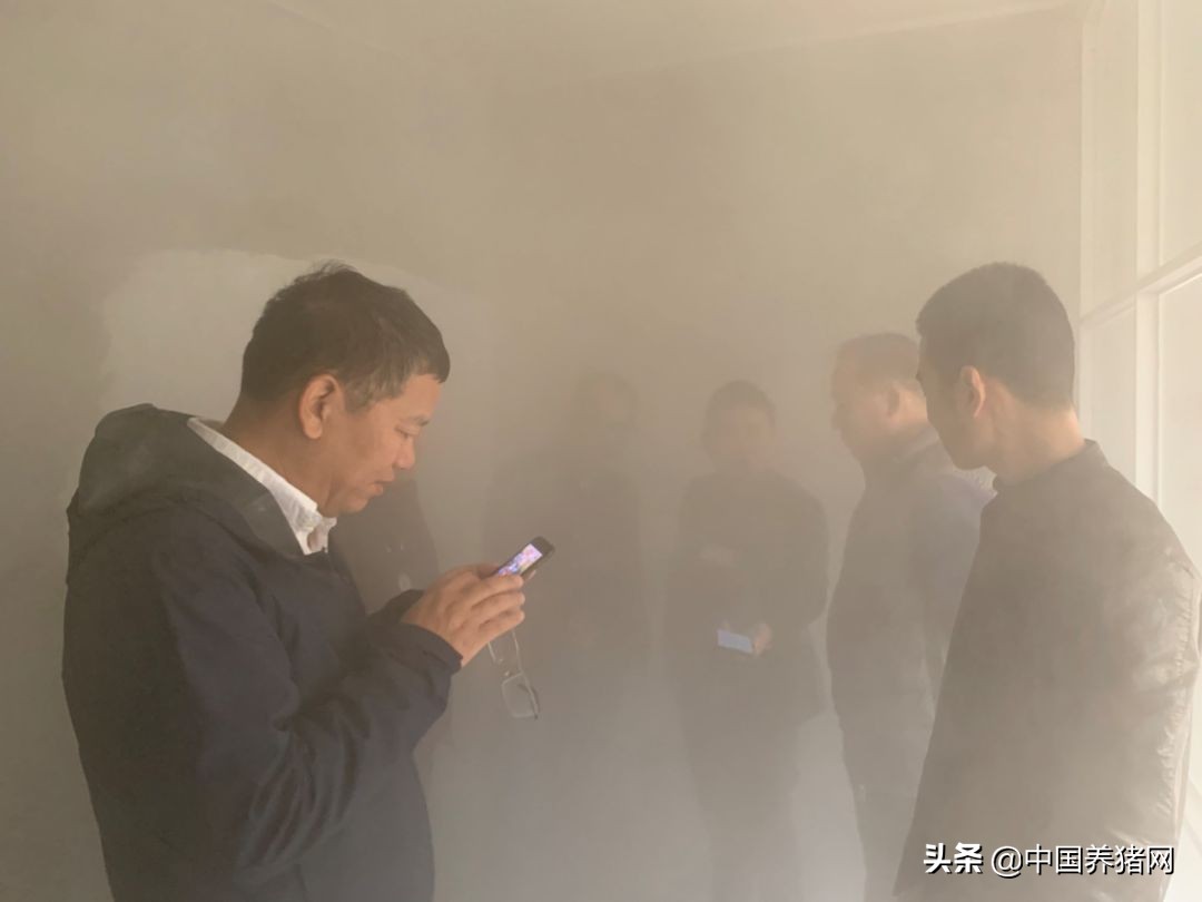 非瘟拔牙成功的案例,拔牙治愈过程