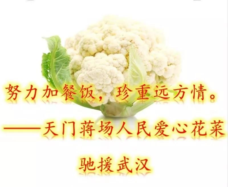 18吨爱心蔬菜千里驰援武汉,山东一菜农向武汉捐赠200吨白菜