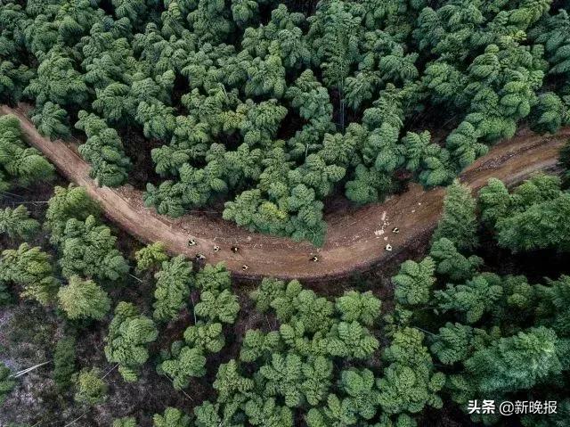 新华社年度照片,人民日报社2019年度照片欣赏