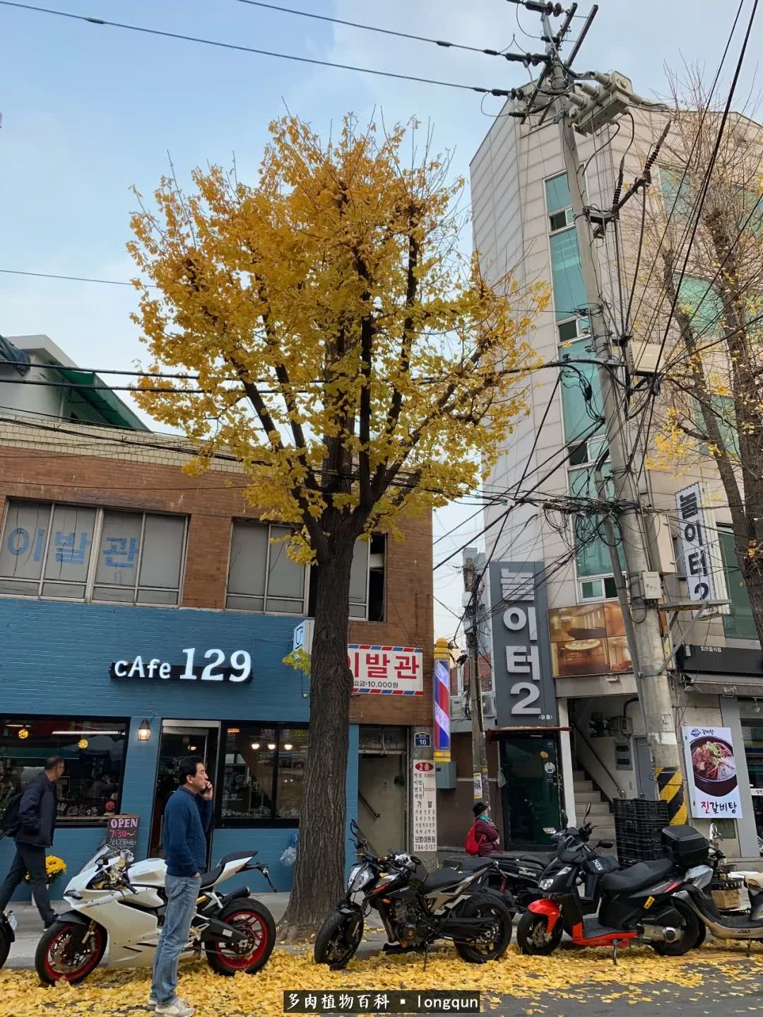 探访韩国肉锥大棚,记一次走访纪录片