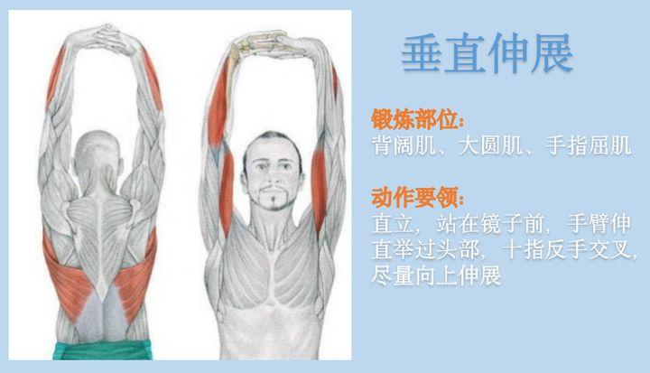 wildfieldhealth是什么牌子,wildfieldhealth与诺特兰德