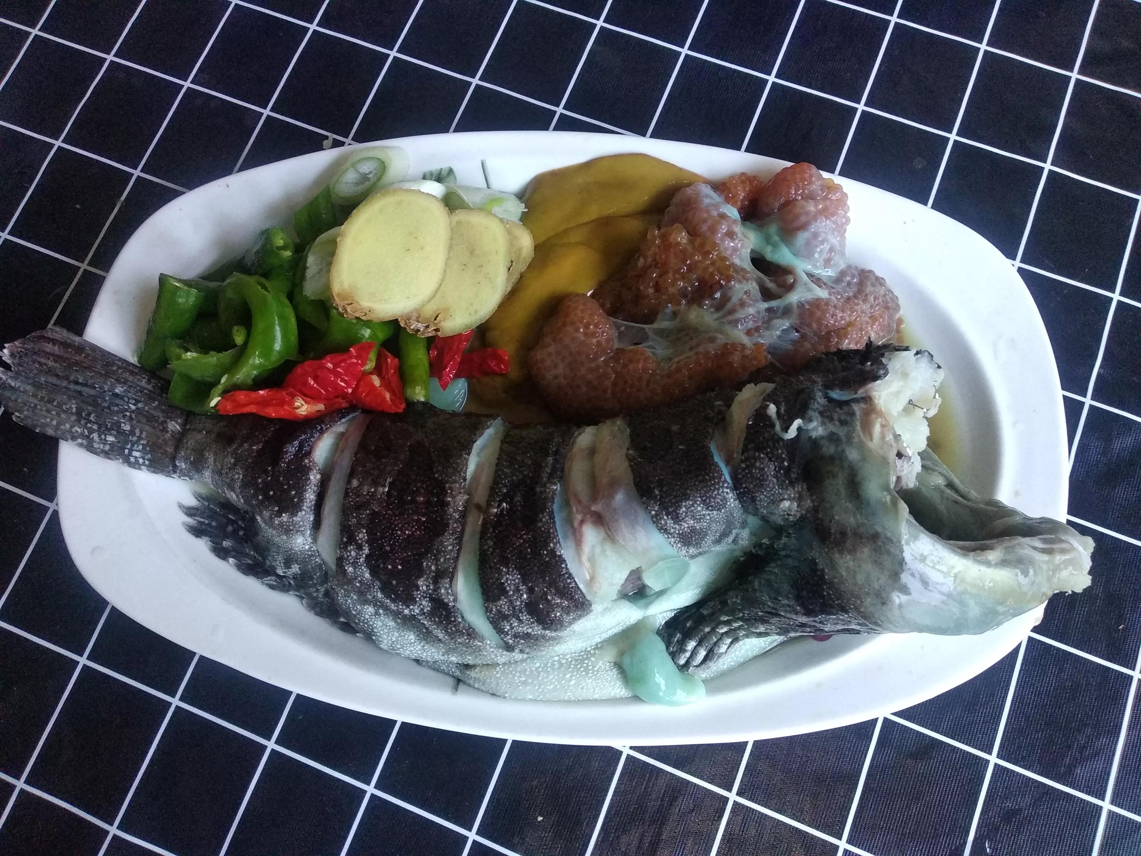 开海了吃什么美食,海边人常吃的40种海鱼