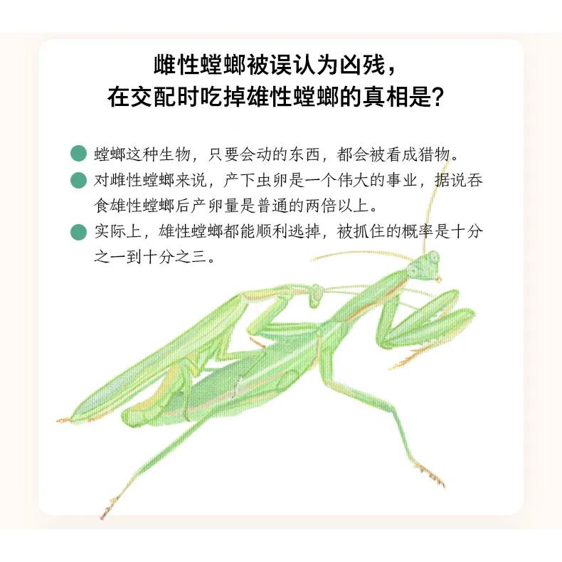 日本动物感人书籍,动物生死书