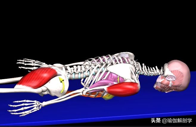 练瑜伽不会盘腿怎么办,练瑜伽髋不正位怎么办