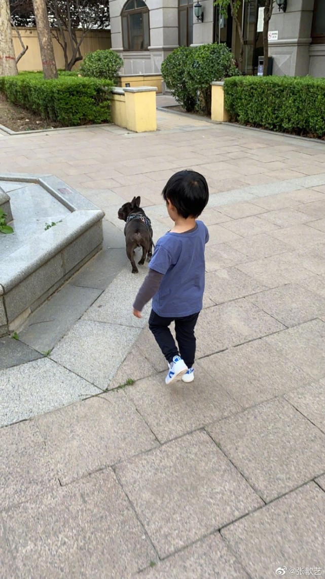 张歆艺晒一家三口照,张歆艺袁弘私照曝光