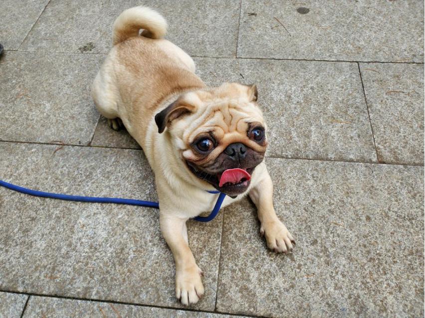 三星s10e还有全新的吗,三星galaxys10e显示里没有分辨率