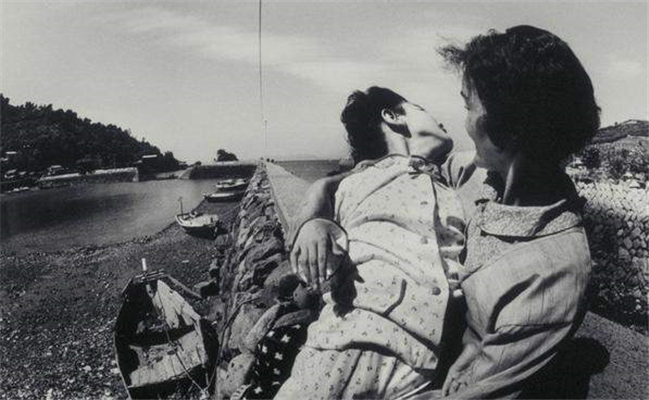 1952年，5万多只猫集体跳海自杀，背后隐藏着什么？