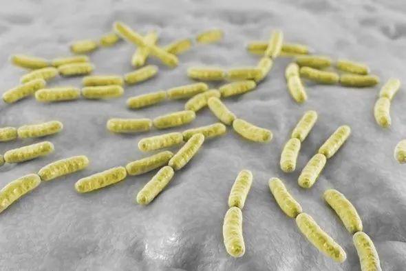 美国教授发表100万个阴道微生物基因集并开出公司,挖到宝了?