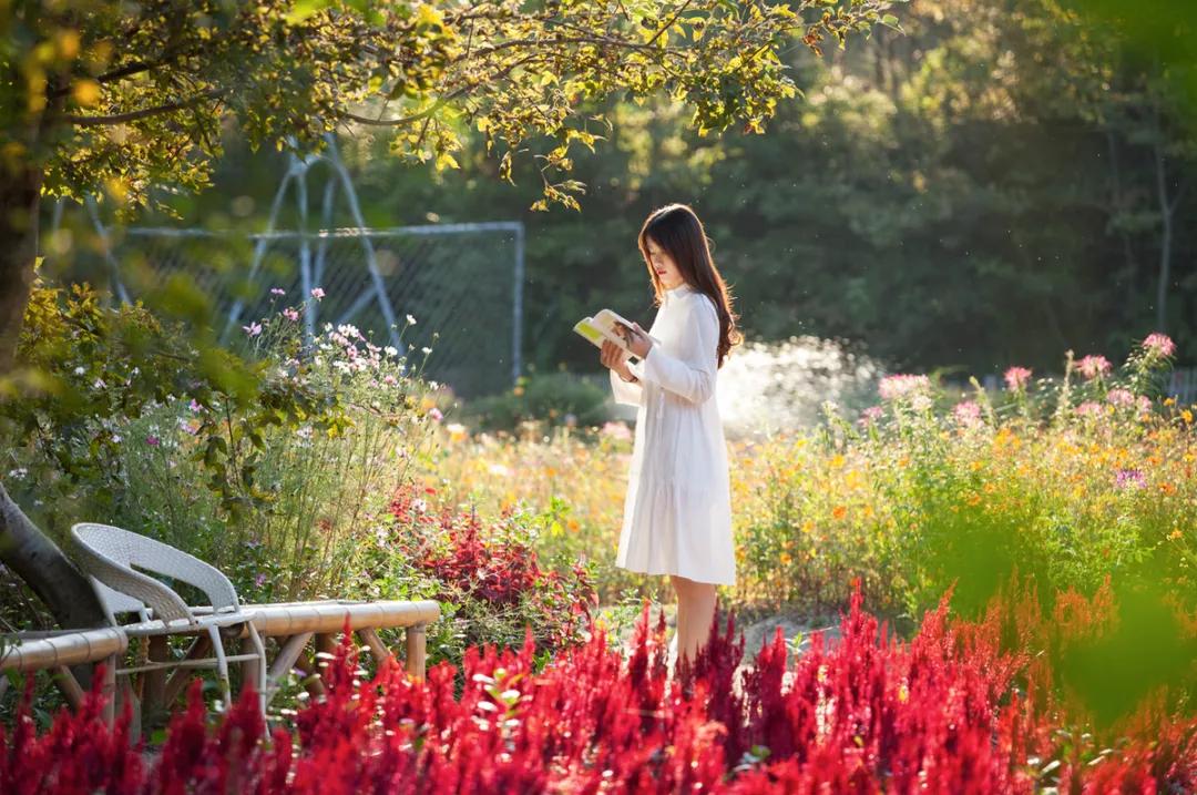 背过终身难忘的9首古诗词,上学时背过的诗词现在才真正了解