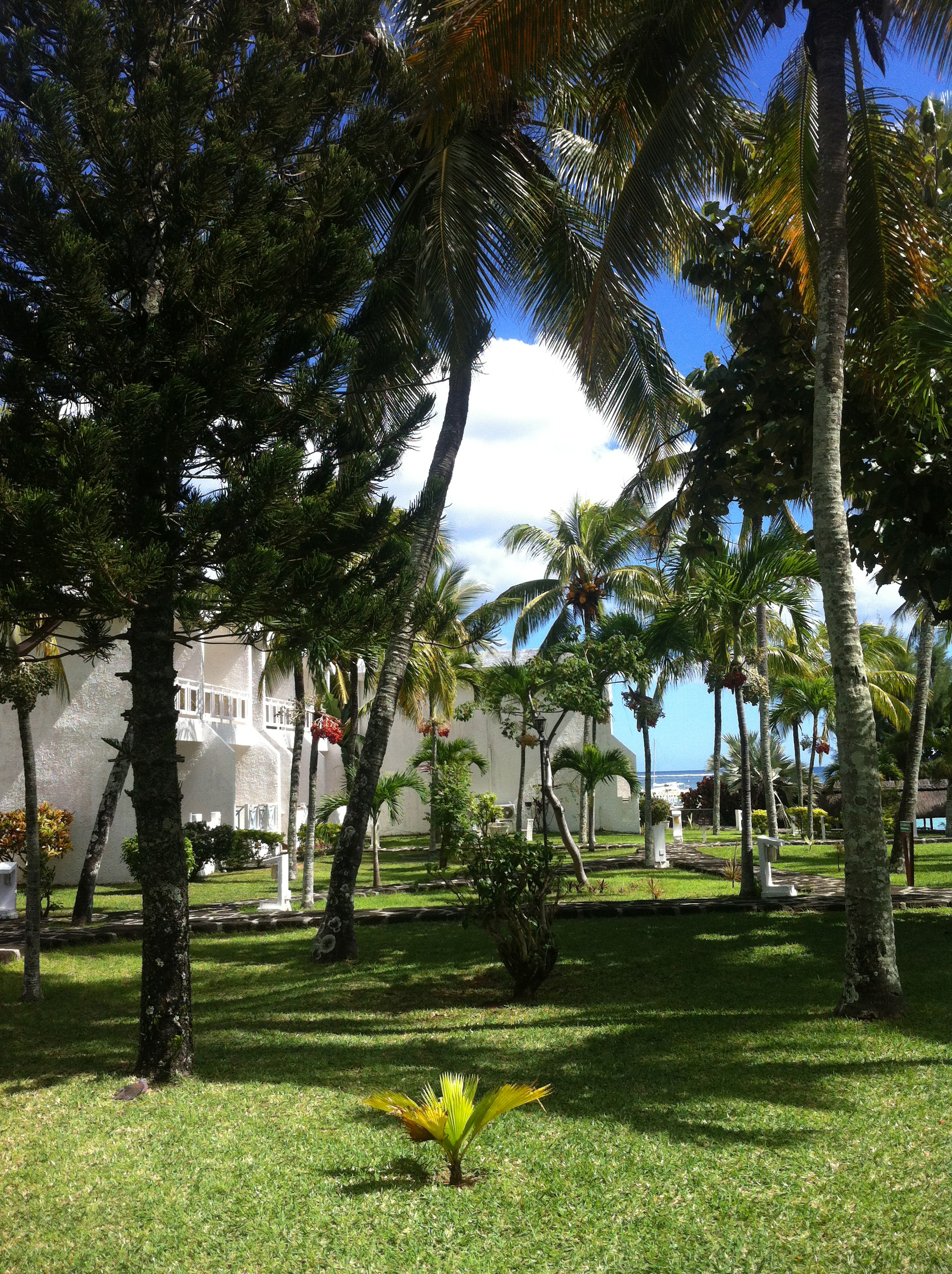 毛里求斯旅游攻略自由行,毛里求斯自由行攻略