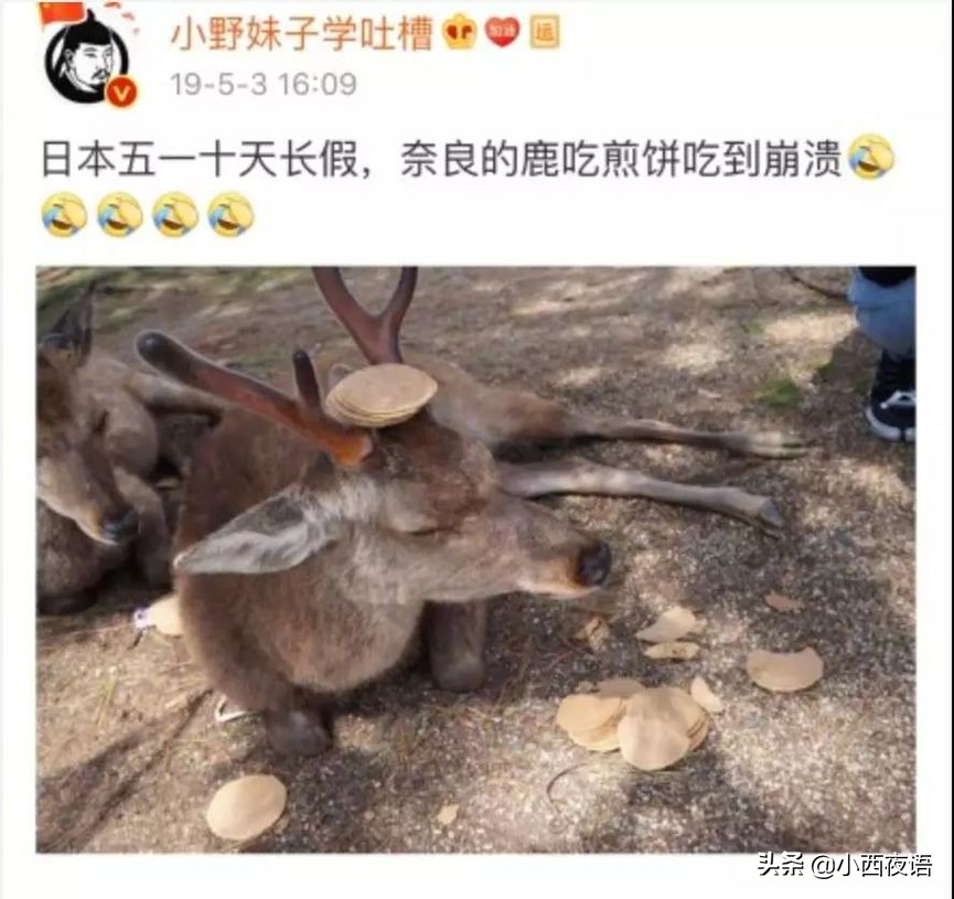 疫情爆发前后，这些景点的对比照片真是太明显了