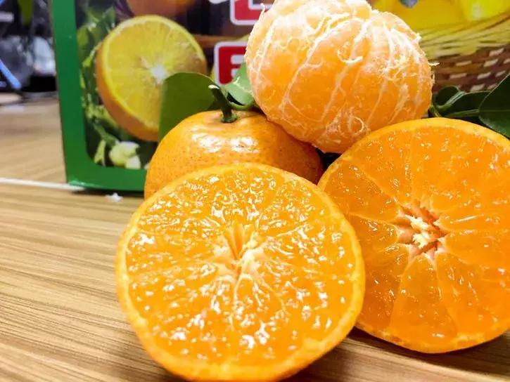 贡桔蜜橘沙糖桔,贡柑沙糖桔