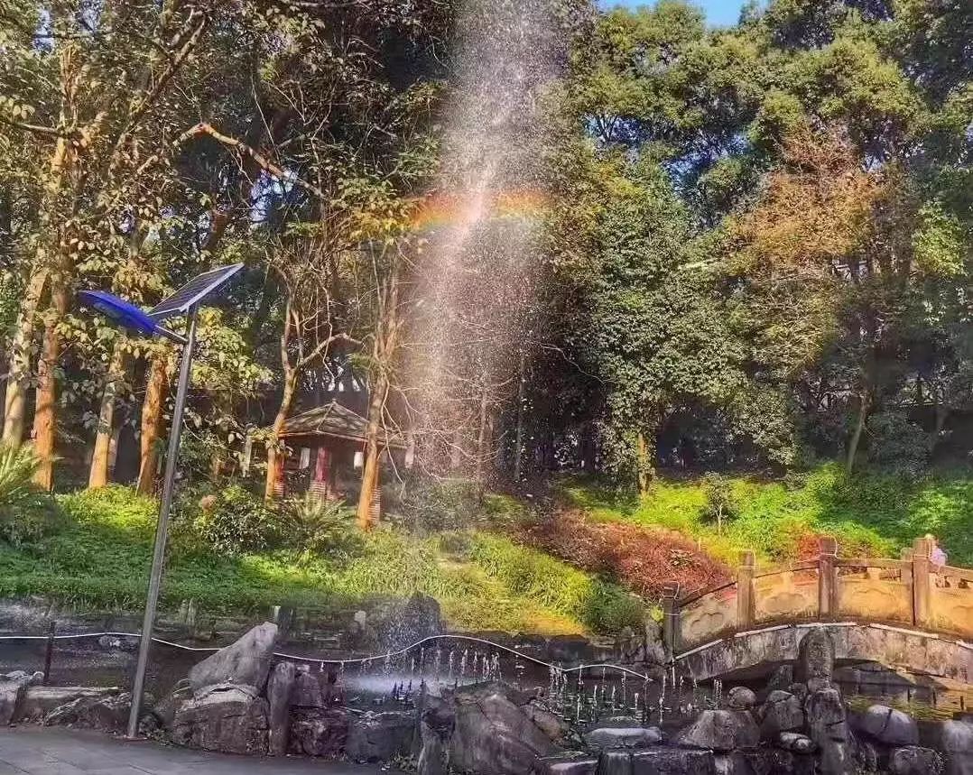 重庆哪所学校环境最好,重庆环境最差的学校