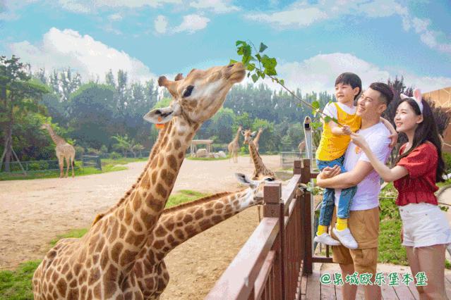 「官宣」泉城欧乐堡动物王国9月16日惊喜开园！王国秘籍抢先get