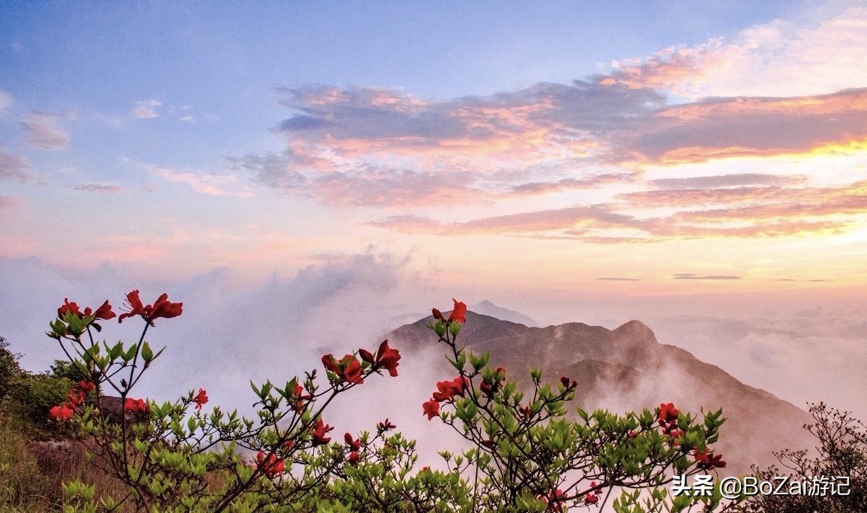 桂林旅游攻略必看景点有哪些,桂林的旅游景点有哪些地方