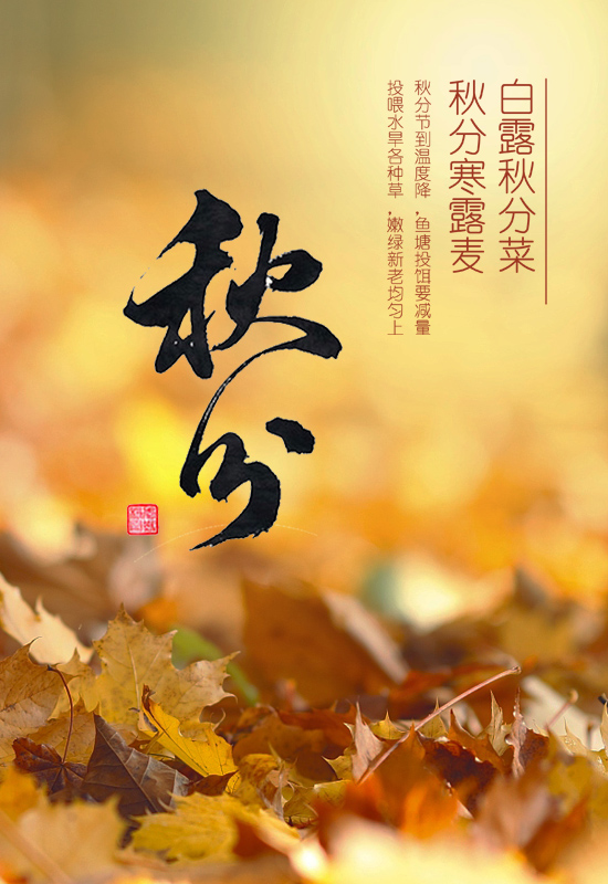 秋分节气是中国的农民丰收节,丰收节是秋分的节气吗