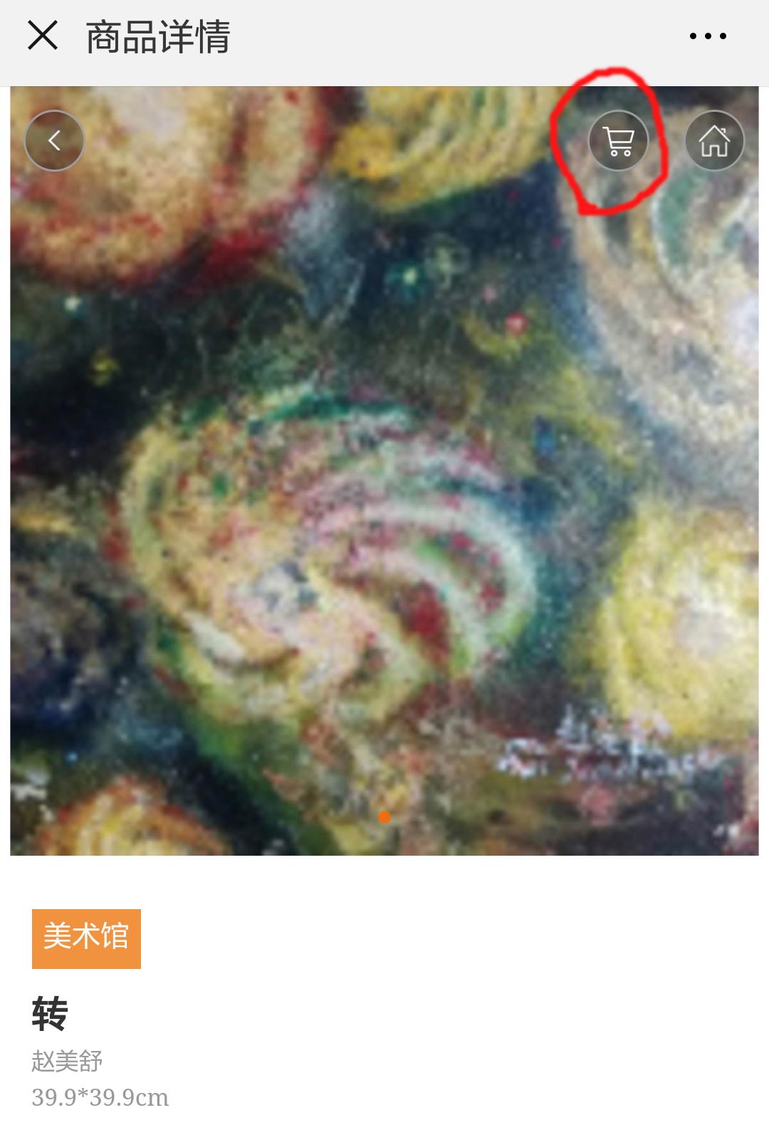 深交所掌柜文化金服艺术公馆赵美舒JameiSuger作品亮相