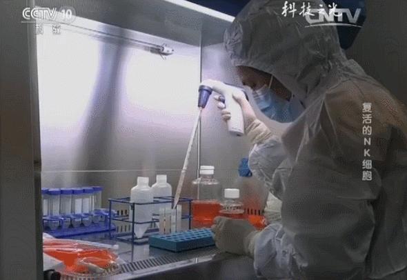 央视特别报道：“复活的NK细胞”—揭示免疫力下降的真相