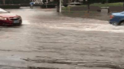 柴油发动机机油进水怎么清洗,发动机机油进水维修大约多少钱