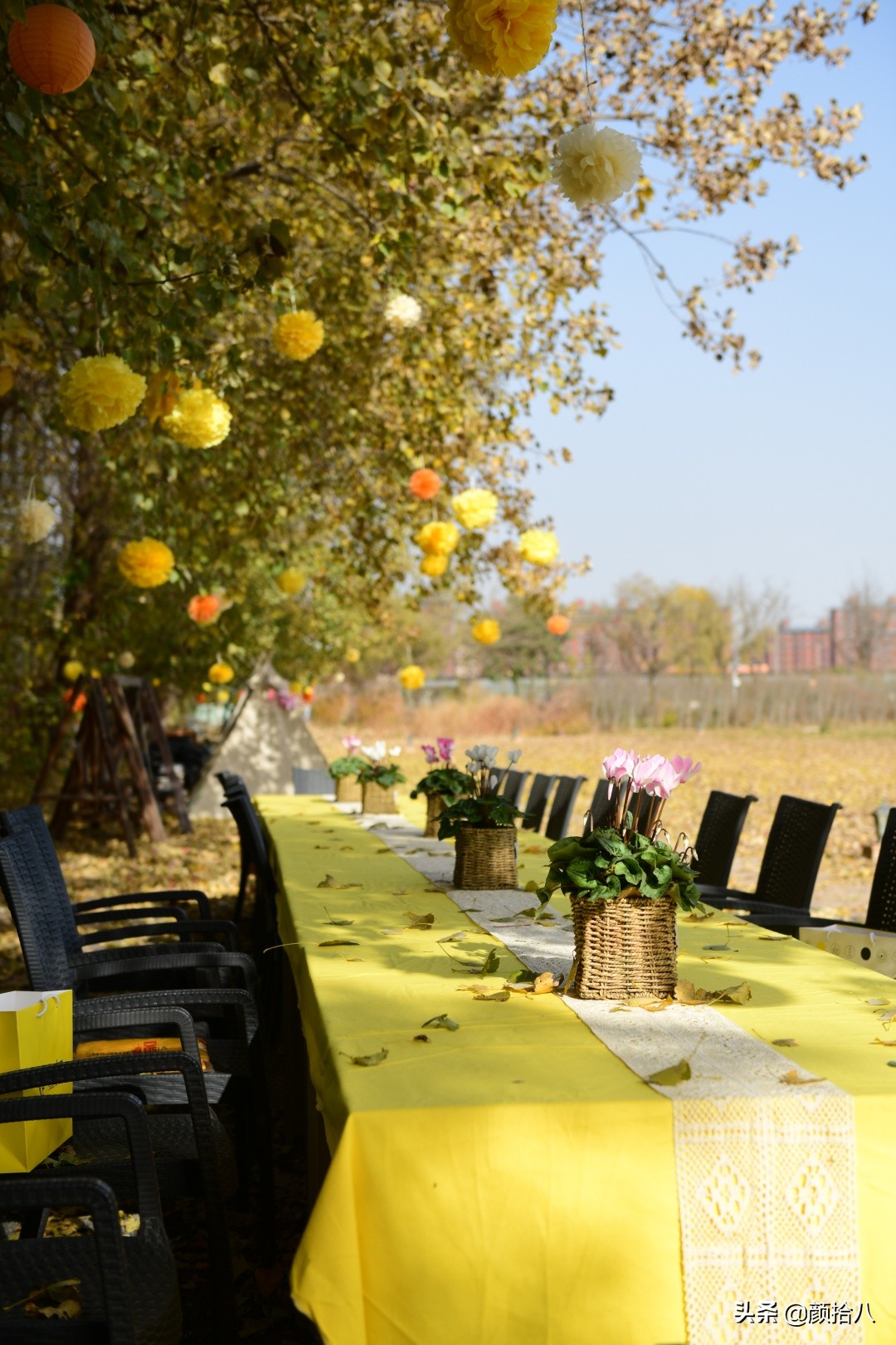 没有比利时花园游,来点比利时啤酒吧|随笔