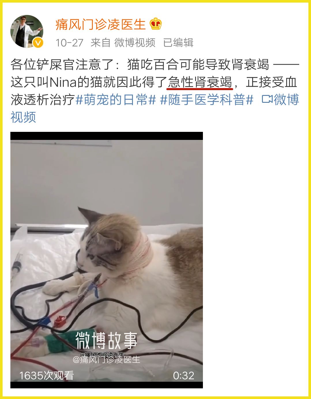 我家猫吞了根针险些丧命，这些东西千万别让猫碰