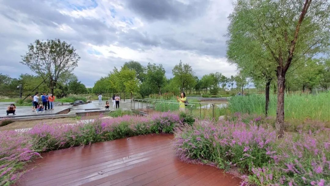 北京东五环新建公园大全,北京新开40个公园详细位置公布