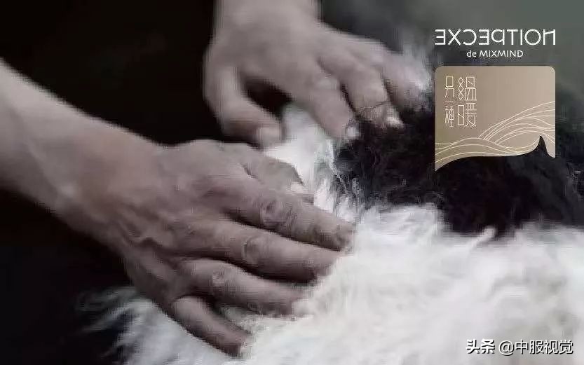 对不起,今年的例外,太太太太太高级了