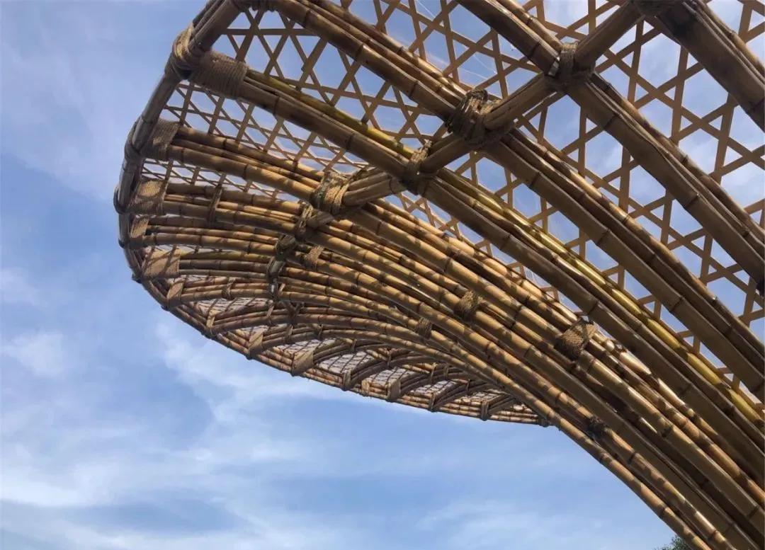 美丽乡村建设典型成功案例,10个美丽乡村规划案例