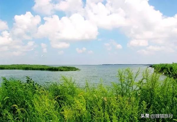 *疆新**玛纳斯县，一个有28万人口的富庶之地，还是重要的碧玉产地