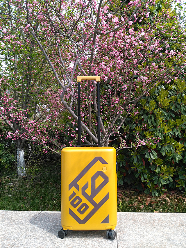 ITO青春有你小黄箱，人人都想尽赏春天的美景，人人都想快乐无限