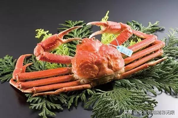 邮轮日本5天4夜游记攻略最全面,全球最豪华邮轮游日本