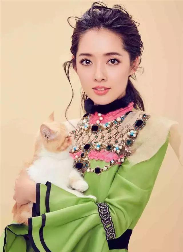 哪些爱豆有养猫,爱豆养猫