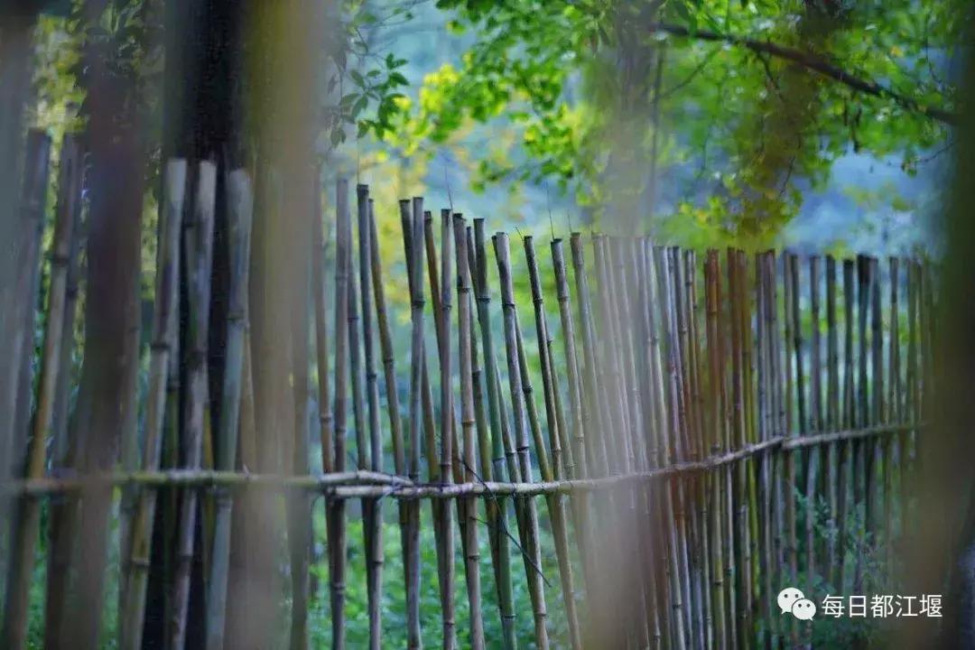 青城山十大顶级神仙民宿,藏在青城山里民宿