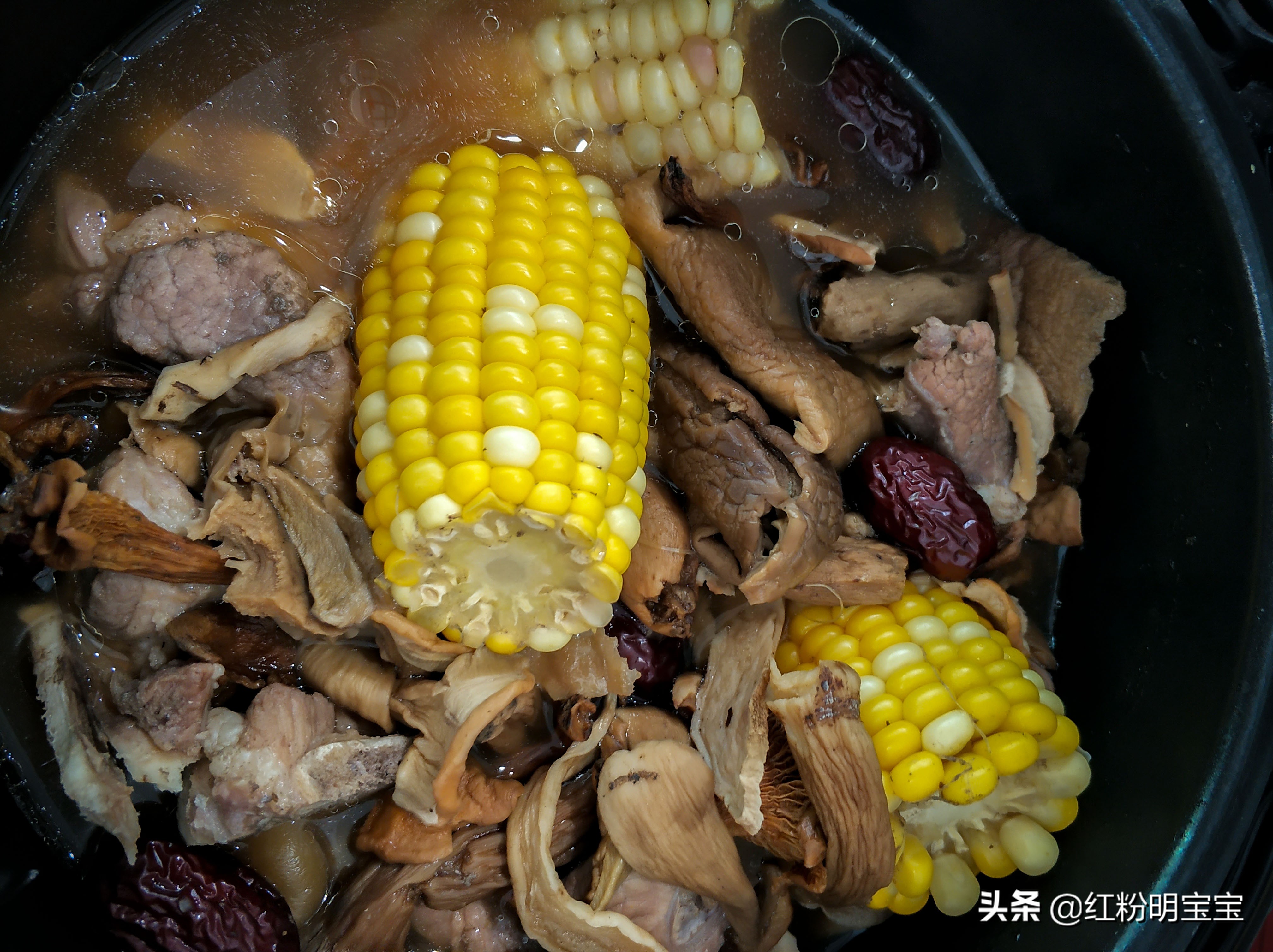 野生蘑菇,大山里的美味牛肝菌|红菇,有钱也很难买得到