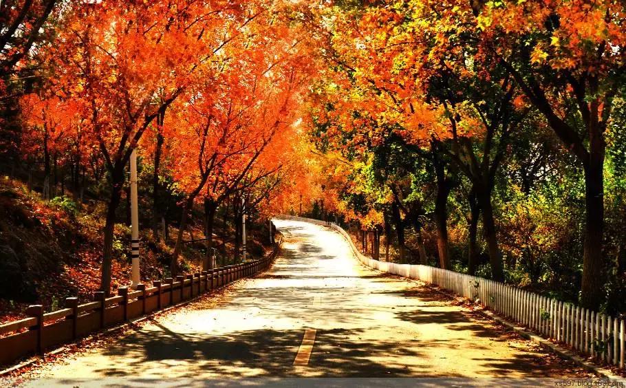 北京市老年卡免费公园博物馆名录，赶快转给需要的朋友们吧