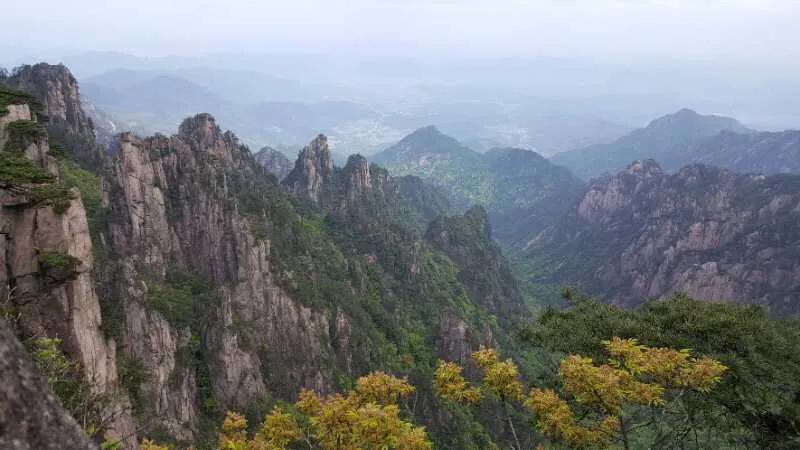 手拍世界微信公众号,手拍世界完整版视频